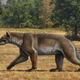 Illustration for article titled How bear dogs and sabre tooth cats lived side-by-side over 9 million years ago